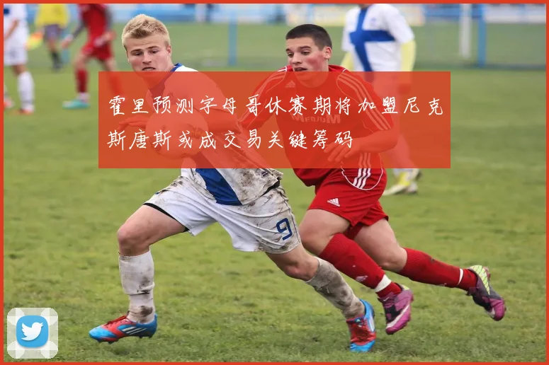 霍里预测字母哥休赛期将加盟尼克斯唐斯或成交易关键筹码