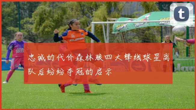 忠诚的代价森林狼四大锋线球星离队后纷纷夺冠的启示
